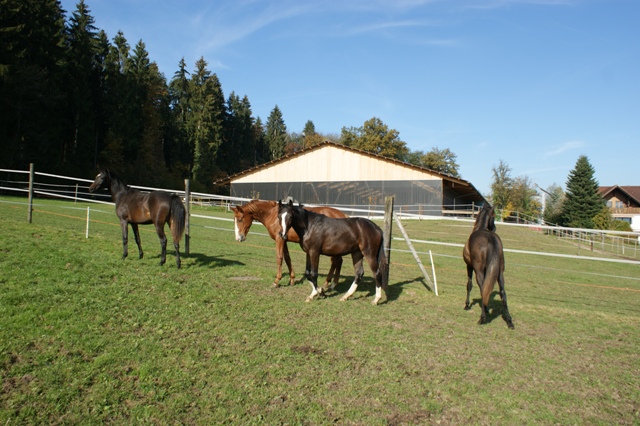 DSC07474.JPG