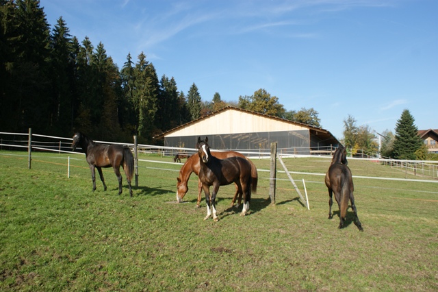 DSC07475.JPG