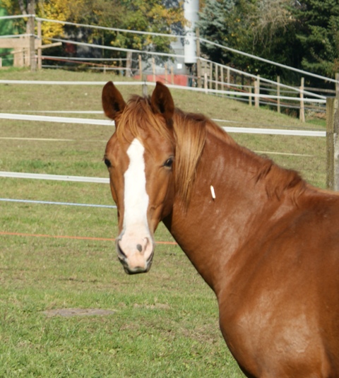 DSC07503.JPG