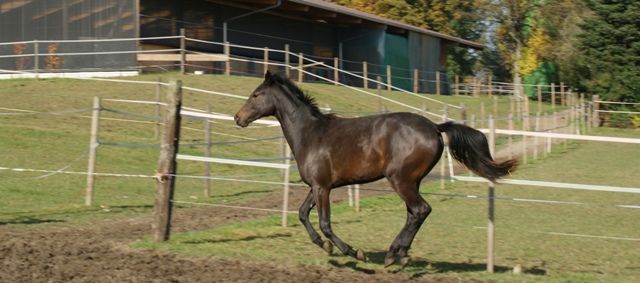 DSC07558.JPG